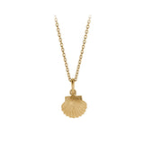 N-230 | Seashell Necklace