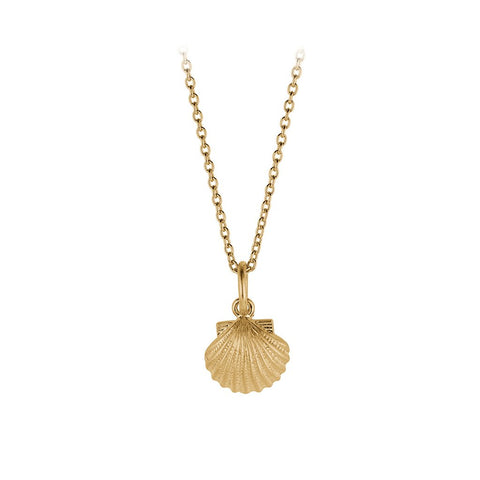 N-230 | Seashell Necklace